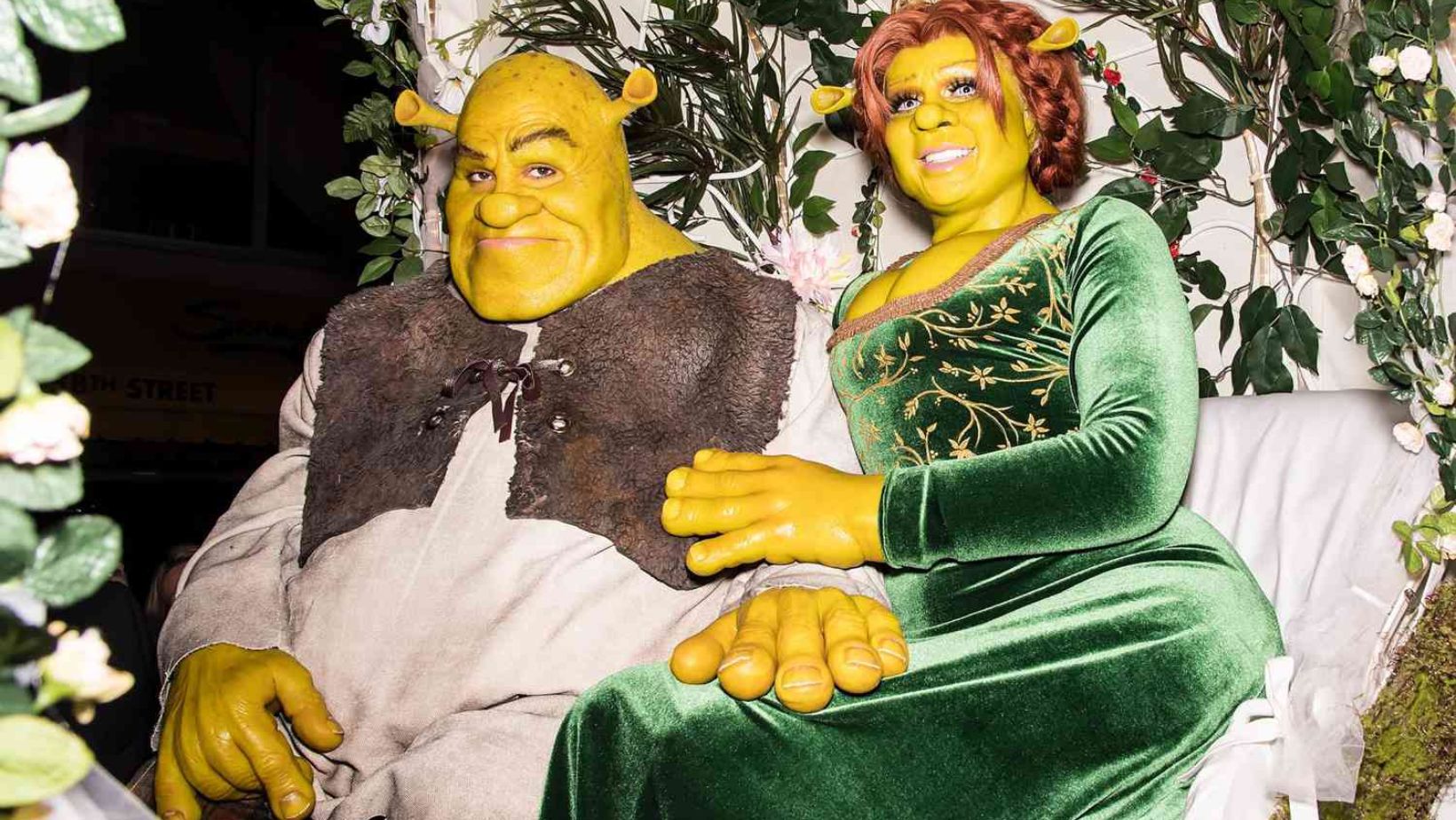 Shrek Costume